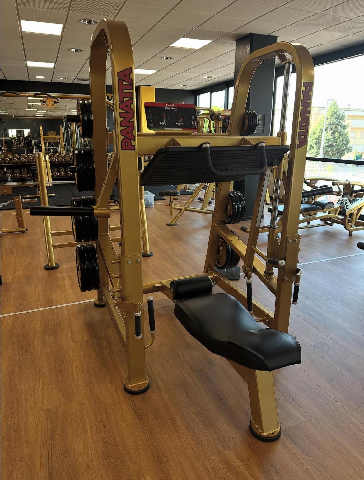 Vertical leg press Panatta
